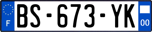 BS-673-YK