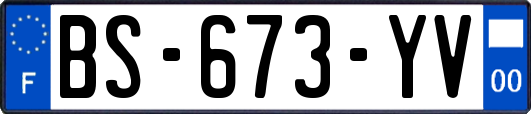 BS-673-YV