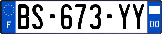 BS-673-YY
