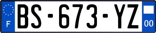 BS-673-YZ