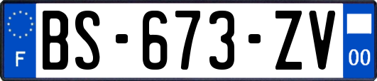 BS-673-ZV
