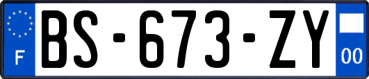 BS-673-ZY