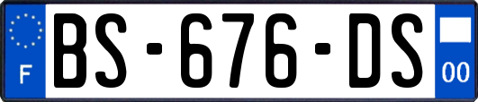 BS-676-DS