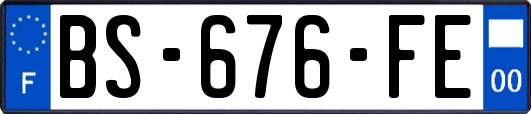 BS-676-FE