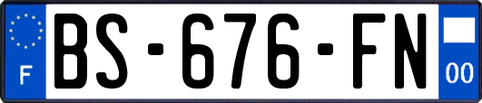 BS-676-FN