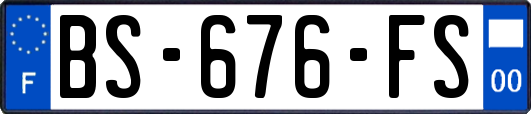 BS-676-FS