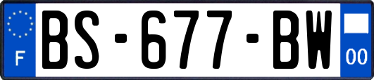 BS-677-BW