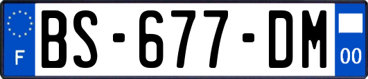 BS-677-DM