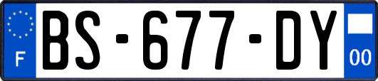 BS-677-DY