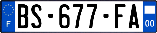 BS-677-FA