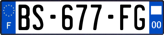 BS-677-FG