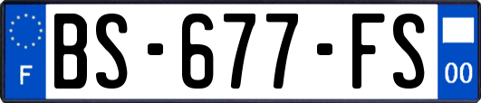 BS-677-FS
