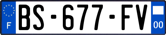 BS-677-FV