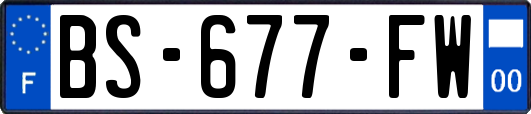 BS-677-FW