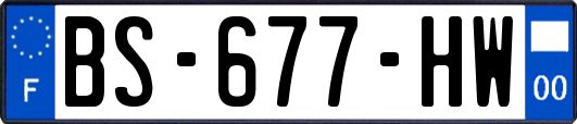 BS-677-HW