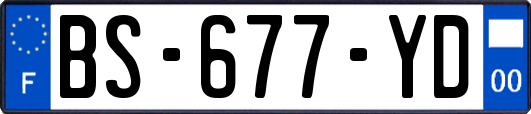 BS-677-YD