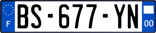 BS-677-YN