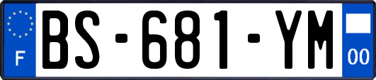 BS-681-YM