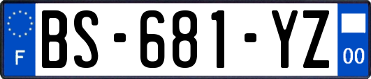 BS-681-YZ