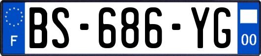 BS-686-YG