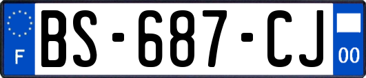 BS-687-CJ