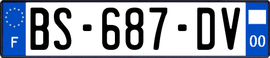 BS-687-DV