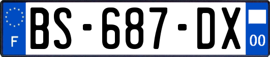 BS-687-DX