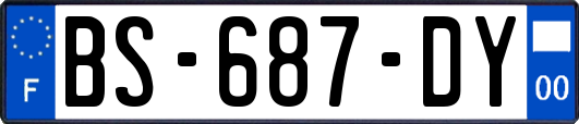 BS-687-DY