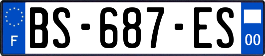 BS-687-ES