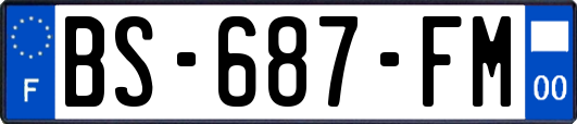 BS-687-FM