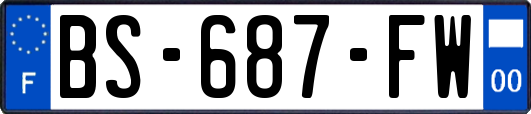 BS-687-FW