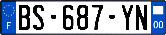 BS-687-YN