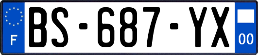 BS-687-YX