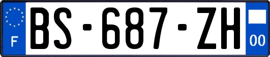 BS-687-ZH