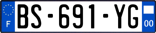 BS-691-YG