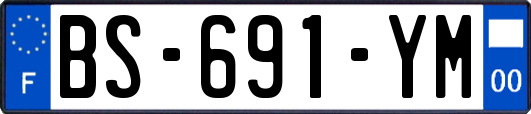 BS-691-YM