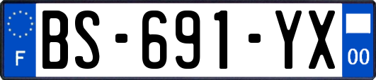 BS-691-YX