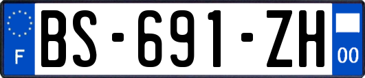 BS-691-ZH