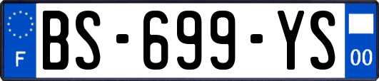 BS-699-YS