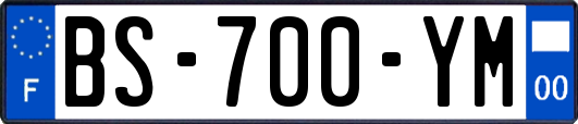 BS-700-YM