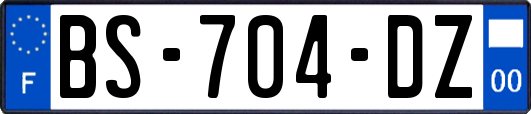 BS-704-DZ