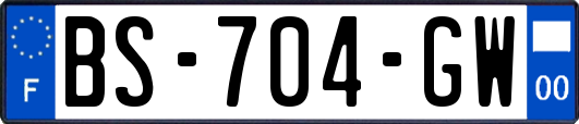 BS-704-GW