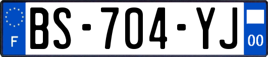 BS-704-YJ