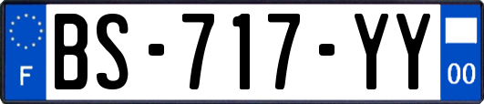 BS-717-YY