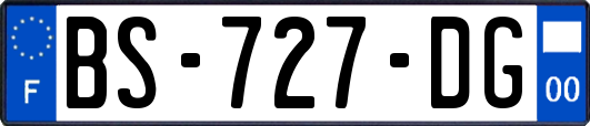 BS-727-DG