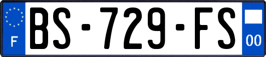 BS-729-FS