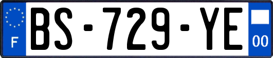 BS-729-YE