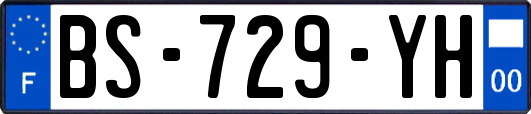 BS-729-YH