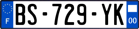 BS-729-YK
