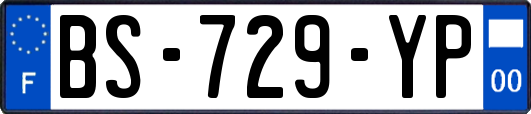 BS-729-YP